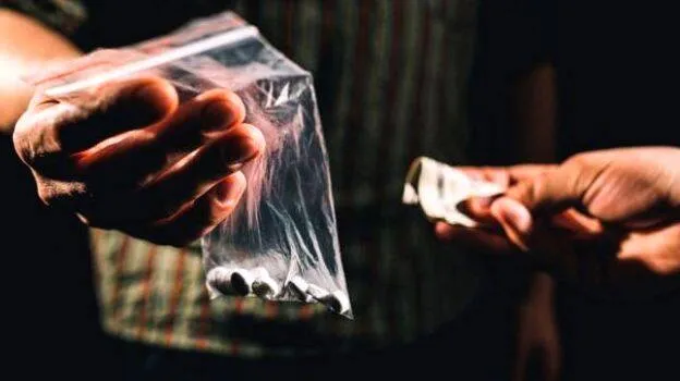 drug-mafia
