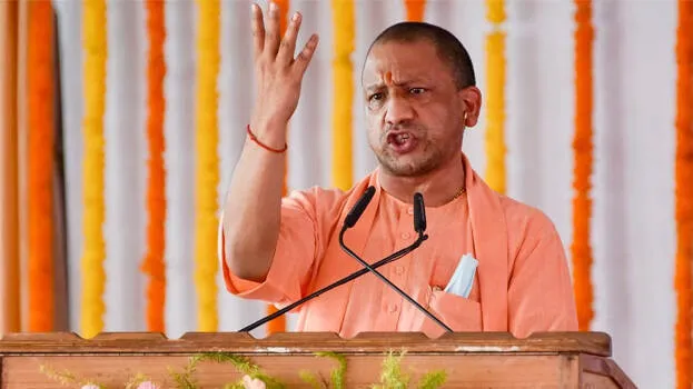 yogi