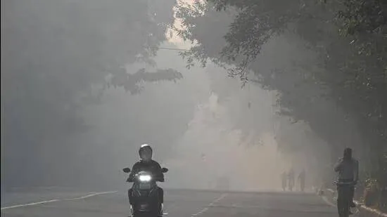 delhi
