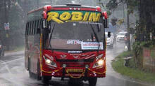 robin-