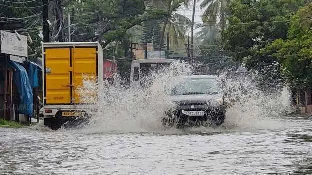 rain