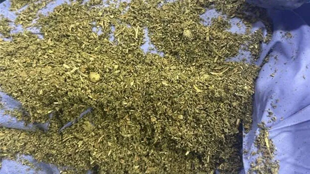 cannabis