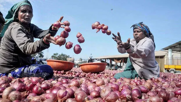 onions
