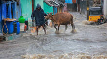 floods