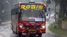 robin-