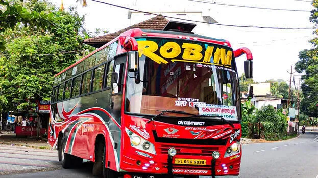 robin-