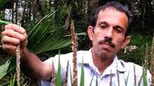 satyanarayana-
