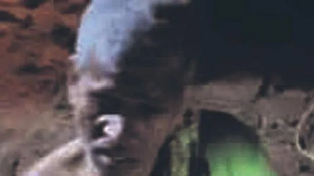 suresh