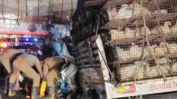 palakkad-lorry-pickup-van