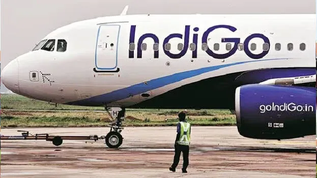indigo