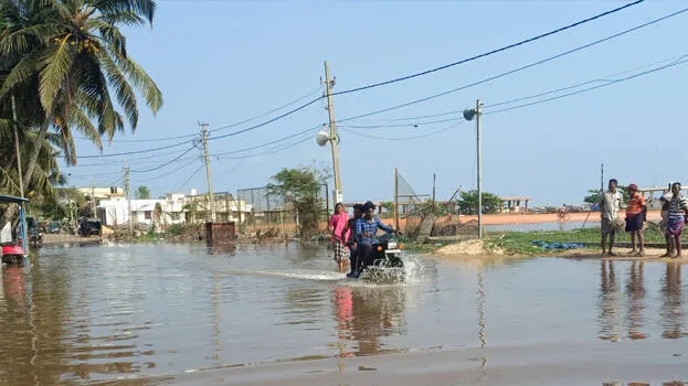 kallakkadal