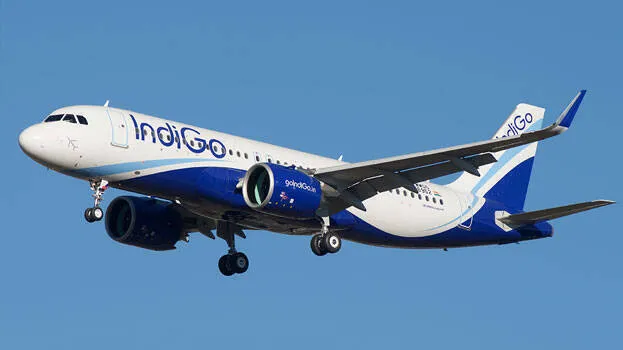 indigo-