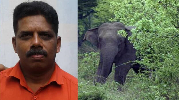 elephant-attack-kerala-pa