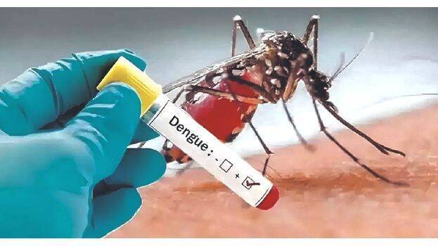 dengue