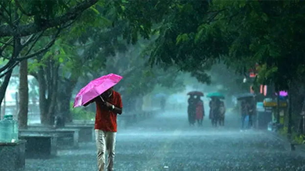 rain