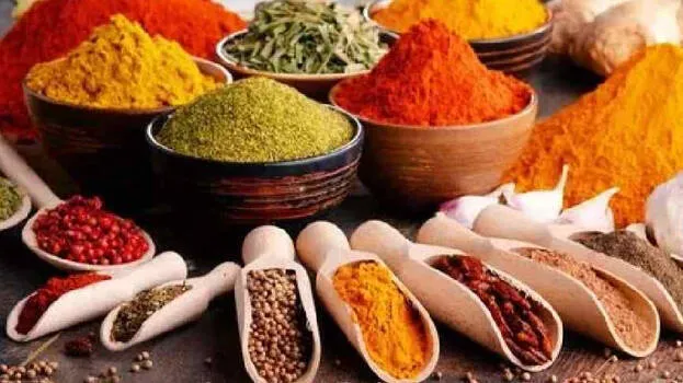 indian-curry-masala-brand