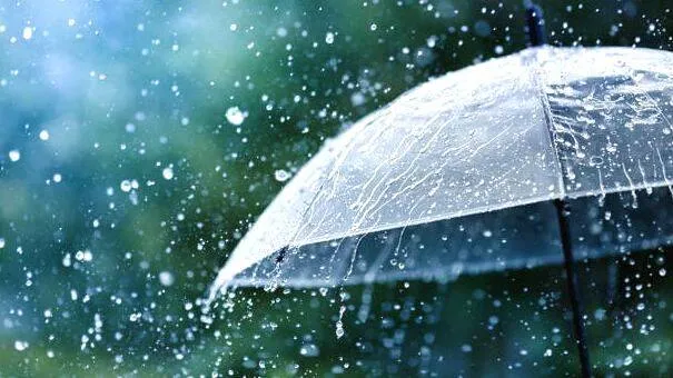 rainfall-