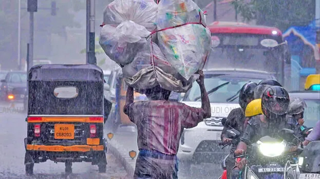 rain