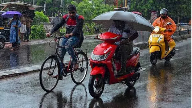 rain
