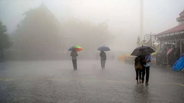 rain
