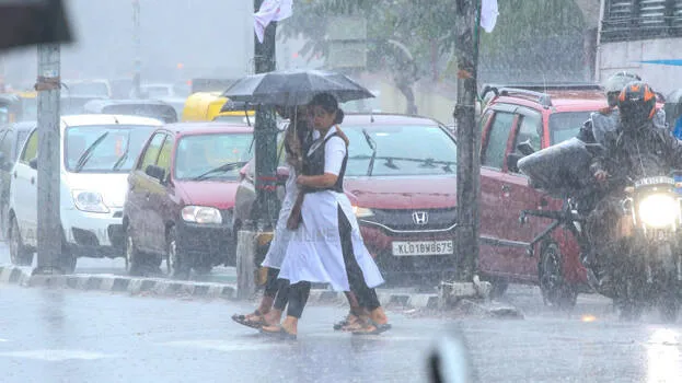 rain