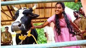 krishna-priya-