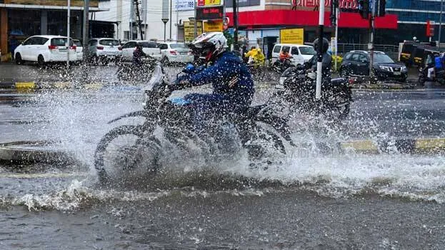rains-
