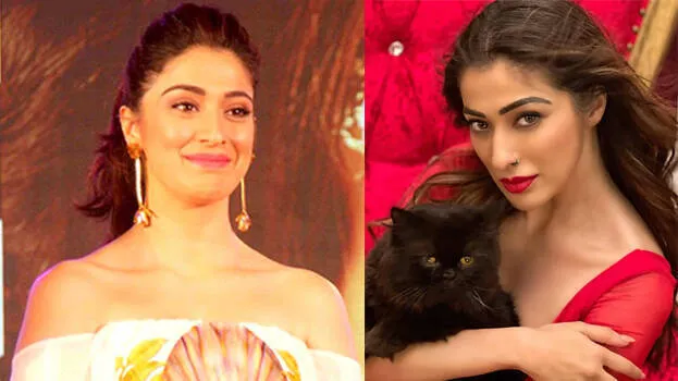 raai-laxmi