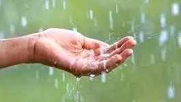 rain