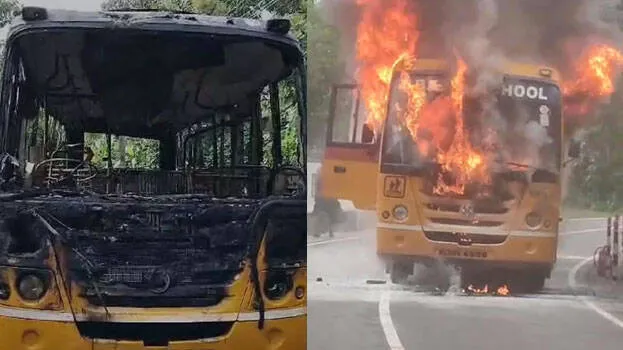 bus