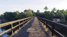 premam-bridge-kerala-alu