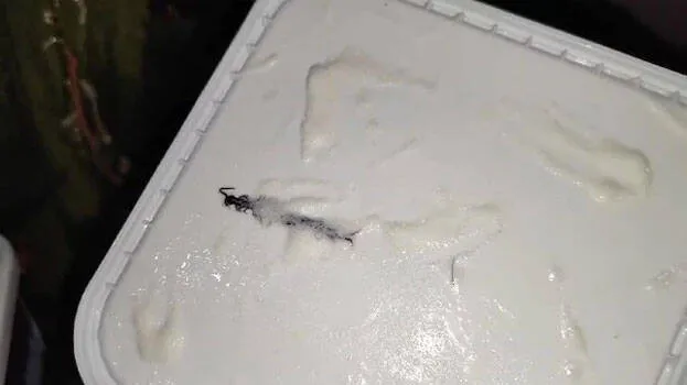 centipede
