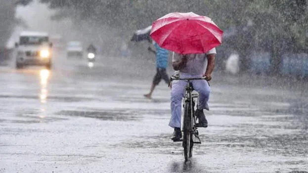 rain