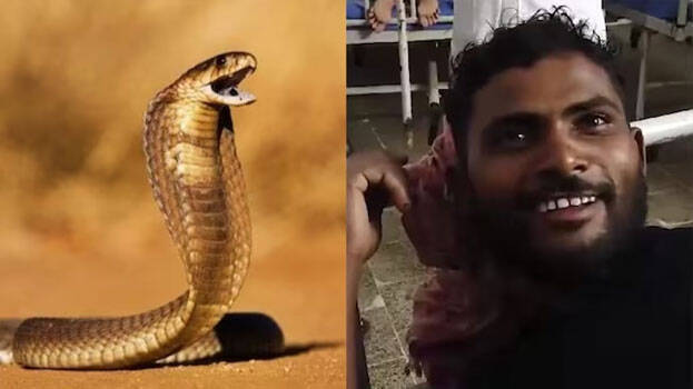 snake-bite-kerala-rajauli