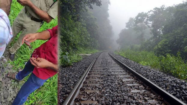 kasaragod-railway-track-s