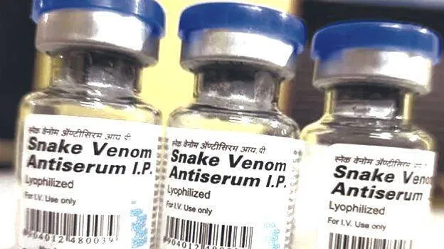 snake-bite-antivenom