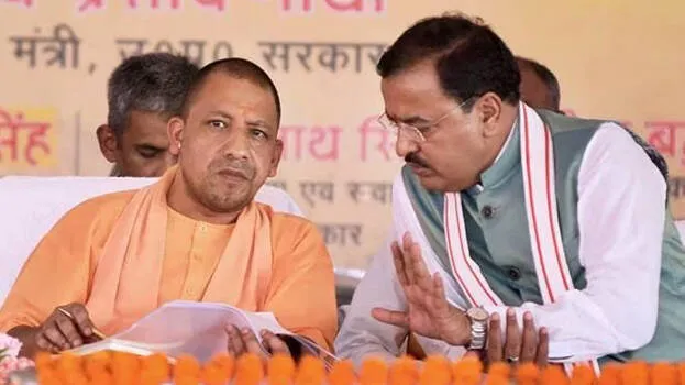 yogi