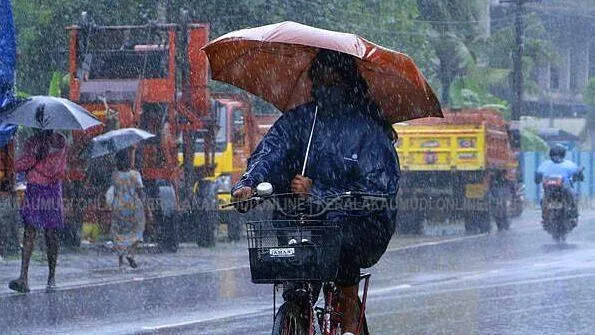 rain