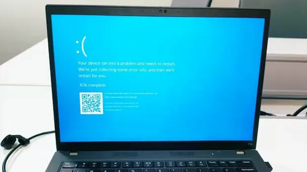 windows