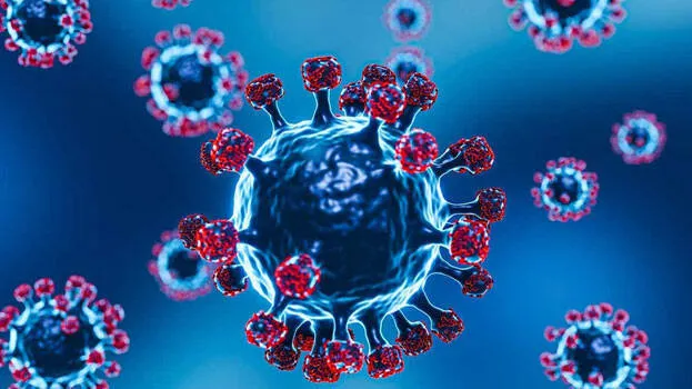 nipah-virus-kerala-warnig