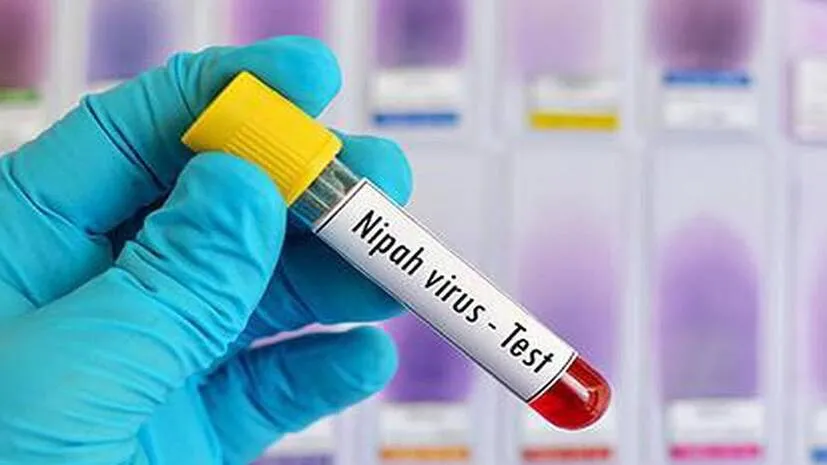 nipah