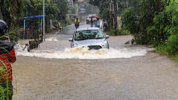 rain