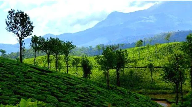 wayanad