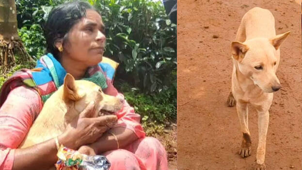 uma-and-her-dog