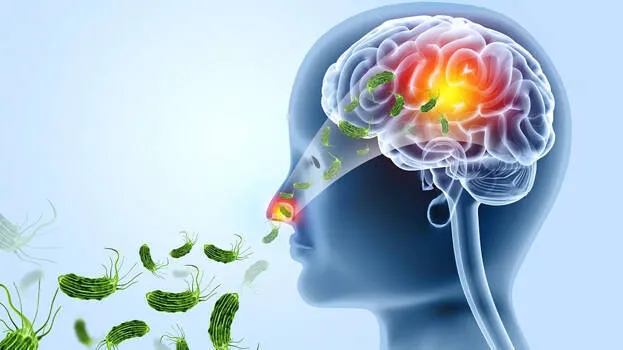 brain-fever
