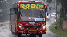 robin-bus