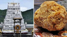 laddoo