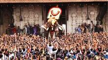 thrissur-pooram