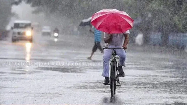 rain-