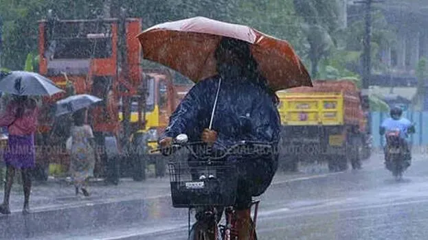 rain